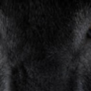 Meet your Posher, Huzbah